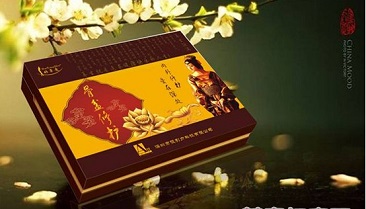 深圳市吸引力科技有限公司ERP实施