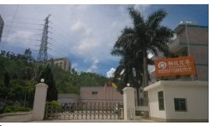 深圳市杨氏兄弟投资发展有限公司ERP系统实施