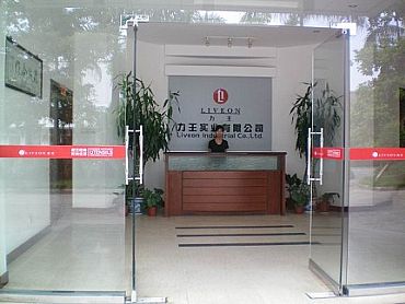 深圳市力王实业有限公司ERP系统实施